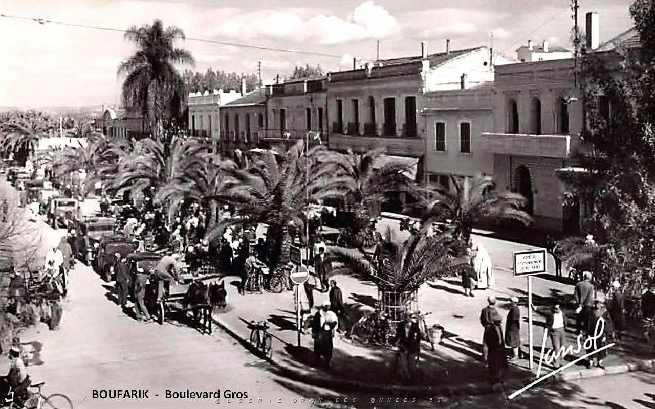 Boufarik - Boulevard Gros.jpg